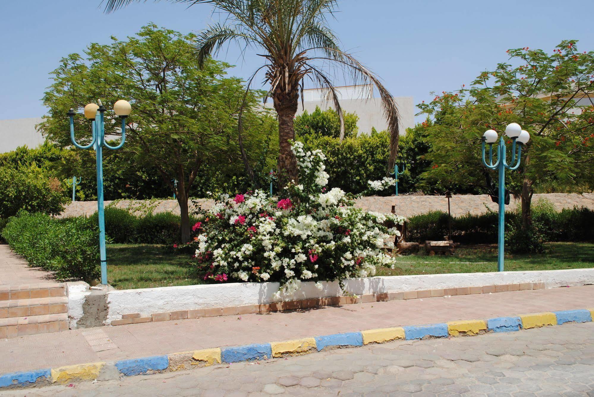 Sharm Cliff Resort エクステリア 写真